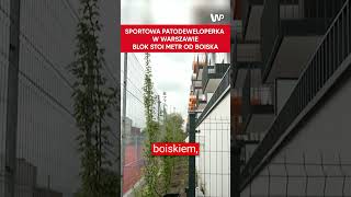 Mieszkają metr od boiska Ekstremalna patodeweloperka w Warszawie [upl. by Perlie906]