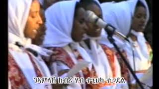 quotስርናይ ካብ ክርዳድ ክፈሊ ቀሪቡዩquot srnay kab kirdad kfeli qeribuyuquot [upl. by Nawak]