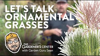 Lets Talk Ornamental Grasses 🌾 Garden Guru Sean at The Gardeners Center [upl. by Josephine591]