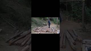 Grandpa Amu picks up discarded wood carpenters woodworking [upl. by Gone745]