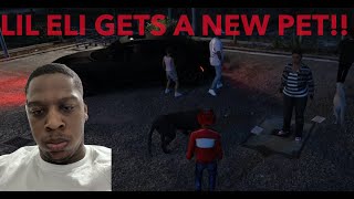 LIL ELI GETS A NEW PET 🐆 GTA V RP  DEUCE WORLD V3 [upl. by Herald]