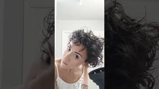 How to use a Diffuser Diffussing My Curls Curly Hair Natural Naturally Curly Hair Tricks Curls [upl. by Erehpotsirhc]