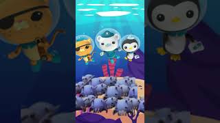 The Octonauts Encounter with the Enigmatic Sea Pigsquotoctonauts  the sea pig [upl. by Means]