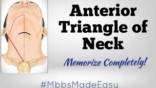 Anterior Triangle of Neck  MEMORIZE COMPLETELY [upl. by Ettenig188]