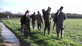 Raveningham Estate Hare Shoot  2014 [upl. by Yahsram161]