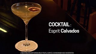 Recette du Cocktail  Esprit Calvados [upl. by Madlin]