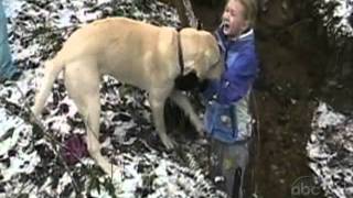 ☺ Americas Funniest Home Videos Part 20  OrangeCabinet [upl. by Pavlov980]