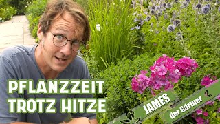 Stauden auch bei großer Hitze pflanzen – so geht’s  James der Gärtner [upl. by Aerdnek]