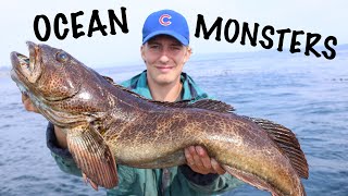 Catching GIANT Lingcod With Live Bait Vancouver Island [upl. by Richardo]