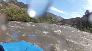 Bighorn Sheep Canyon Rafting [upl. by Charters]