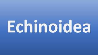 How to Pronounce Echinoidea [upl. by Semaj990]