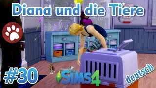 Sims 4  Diana und die Tiere 30  Max und Harvey adoptieren die Welpen [upl. by Friend]