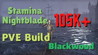 ESO  Stamina Nightblade PVE Build 105k  Blackwood [upl. by See]