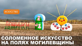 Соломенные композиции на полях Могилевщины  Подготовка к «Дожинкам2024» [upl. by Laden]