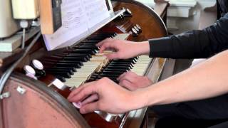 Martin Sturm  Max Reger Passacaglia Op16 [upl. by Suter]