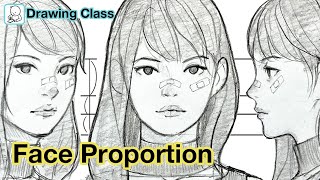 How to draw face  Face Proportions Drawing [upl. by Remmus249]