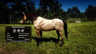 Missouri Fox Trotter RDR2 FASTEST1Min [upl. by Ornas64]