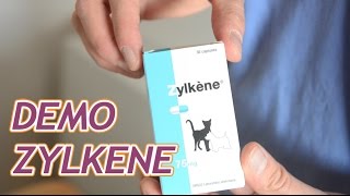 Zylkene antistress naturel pour chiens et chats [upl. by Oicnedif772]