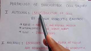 Autolysis of cell  Autolysis in pathophysiology  morphology of irreversible cell injury [upl. by Brigid43]