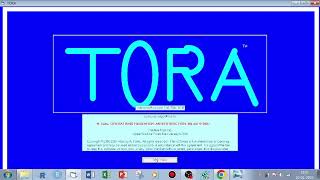 CHARNES BIGM METHOD OR PENALTY METHOD USING TORA SOFTWARE [upl. by Raila]