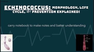 Echinococcus Morphology Life Cycle और Prevention Explained [upl. by Natsyrt]