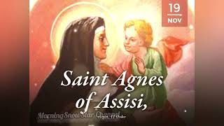 Saint Agnes of Assisi  19th November c 1197 – November 16 1253 [upl. by Yasu]