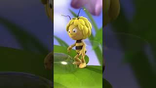 A Day in the Life of Maya the Bee 🐝🌼 DayInTheLife Routine [upl. by Nidraj425]