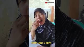 PISCOK LUMER DI MULUT RASANYA MANIS DAN WENAK‼️ [upl. by Nylssej]