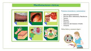 Blastocystis hominis [upl. by Chura946]