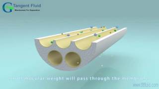 Crossflow Filtration of Ceramic Membrane [upl. by Nyledaj]