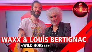 Louis Bertignac et Waxx interprètent quotWild Horsesquot en live dans Foudre [upl. by Baker]