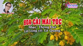 Karaoke tân cổ HOA CÀI MÁI TÓC  DÂY KÉP Sol Tg Lê Quang [upl. by Tibbitts]