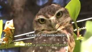 Aldeia da Serra  Subtitles in English [upl. by Kilan]