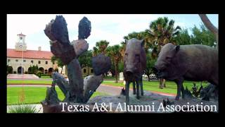 Texas AampI Javelinas Fight Song  quotJaliscoquot [upl. by Benedix238]