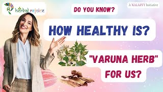 Varuna Bark  Ayurvedic Solution for Kidney and Bladder Health infection kidneystones [upl. by Melloney]