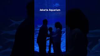 Jakarta aquarium Neo Soho [upl. by Thissa]