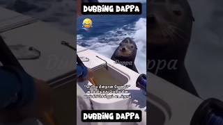 Perusaa edu da 🤣 funny shorts comedy shortsfeed funnyanimal petcomedy dog seadogs dogs [upl. by Eddie343]