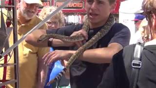 Handling A Rattlesnake  Mangum Rattlesnake Roundup 2013 [upl. by Olnay781]