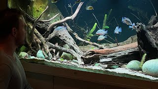 WORLD CHAMPION BIOTOPE AQUASCAPES  DEEP DIVE [upl. by Namurt]