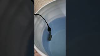 uso correcto de la Resistencia eléctrica para calentar agua [upl. by Bruyn]