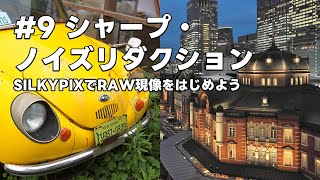 SILKYPIXでRAW現像をはじめよう 9 シャープ・ノイズリダクション [upl. by Horbal]