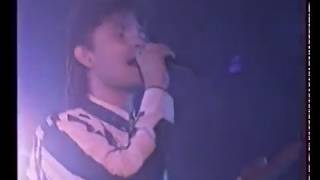 Akcent  Wspomnienie Koncert  Nasza szkapa 1994 [upl. by Ardnekal]