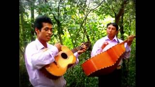 Zincalco  Música en náhuatl de la sierra de Zongolica [upl. by Yukio422]