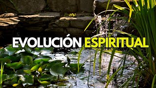 🌎Brian Weiss y la Reencarnación 📖Evolución Espiritual [upl. by Caldeira]