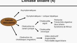 foie et voies biliaires partie 3 [upl. by Eidnim930]