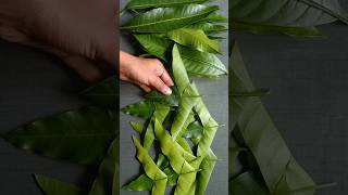 DIY Mango Leaf Decoration shorts youtubeshorts viralvideo homedecor diy craft ashortaday [upl. by Reemas]