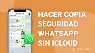 Cómo hacer copia de seguridad de WhatsApp sin iCloud [upl. by Glogau935]