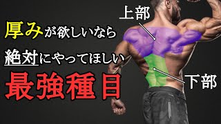 背中の厚みが欲しいならこれをやれ！僧帽筋 三角筋後部 脊柱起立筋の最強種目と筋トレ法を科学的に徹底解説！ [upl. by Lerrej]