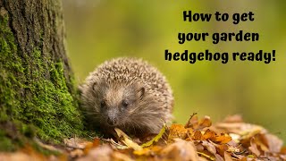 Get your garden hedgehogready [upl. by Slrahc]