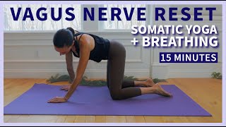 TONE Your Vagus Nerve  Daily Somatic Yoga amp Breathing Exercises [upl. by Eendyc172]